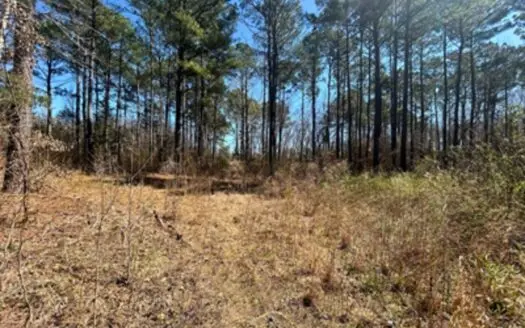 East Texas Timberland and Recreational Tract