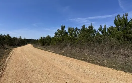 Drew County Timber Investment Property for Sale!