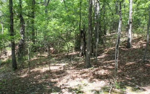 Lot 44 in Lakeshore Acres Gated Subdivision on Bull Shoals Lake