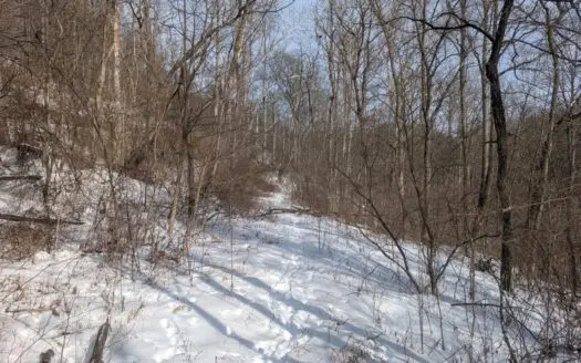 Monroe County Timberland and Hunting Tract 11