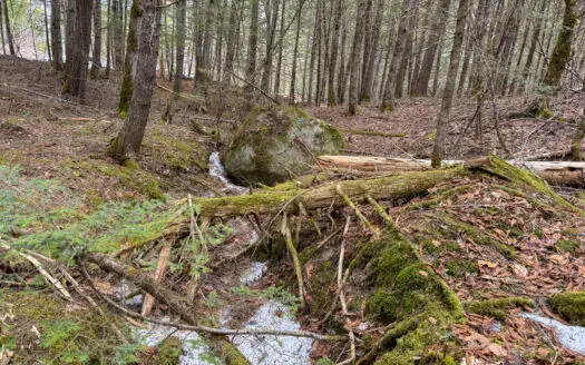 Affordable 2.25 Acre Land Parcel – Greenfield, Maine