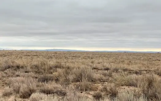 Tranquil 13.097 Acres of Torrance County Grassland