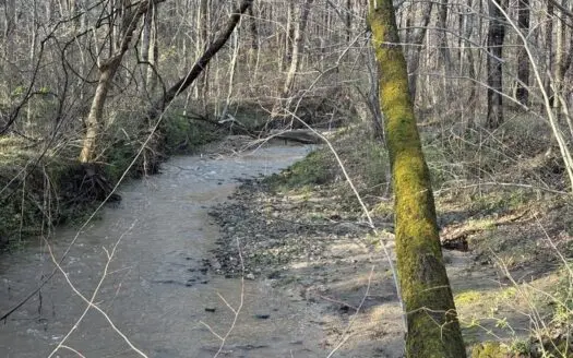 Highway 360 Creekside Tract with Road Frontage & Timber, VA