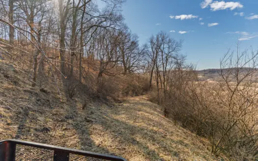 50 Acre Recreational -Hunting Land For Sale Richland County WI