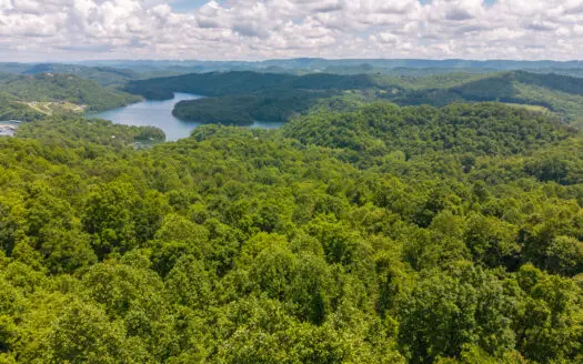 Wooded Sanctuary in the Heart of Norris Lake’s Premier Community