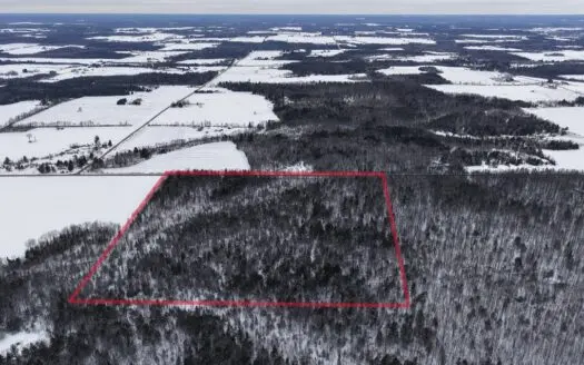 43+/-  Acre Marathon County Hunting, Timber and Rec Tract For Sal