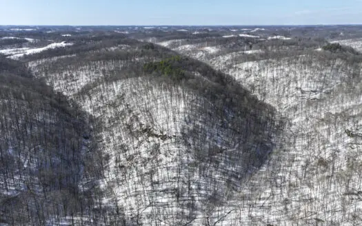 Tract 5 160± Acres | Premier Hunting Land | Monroe County, Ohio