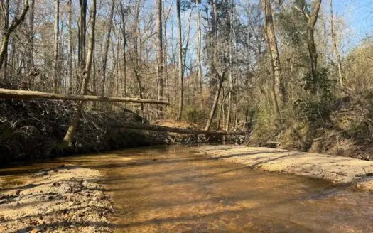 Land for Sale in Simpson County