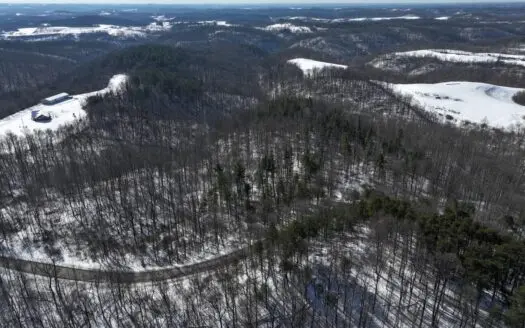 Tract 3 60± Acres | Monroe County, Ohio Hunting & Build Potential