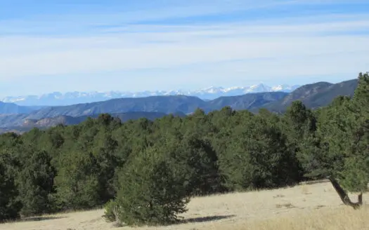 38 Acres Bordering Blm With Well & Yurt Canon City Colorado