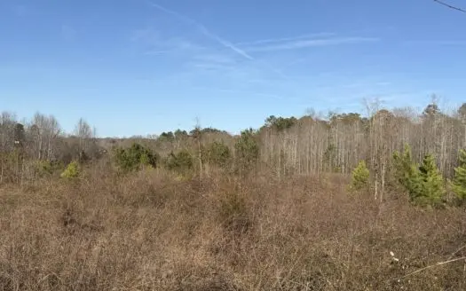 Commercial acreage and land for sale in Spartanburg SC