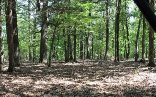 Lot 42 in Lakeshore Acres Gated Subdivision Bull Shoals Lake