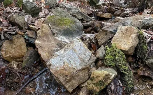 31 Acres For Sale in Johnson County, Tennessee