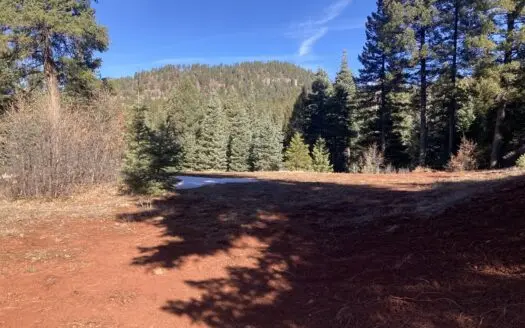 6.67 acre lot with pad, electric and water