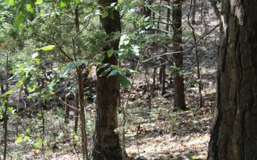 Lot 43 in Lakeshore Acres in Bull Shoals Lake Gated Subdivision