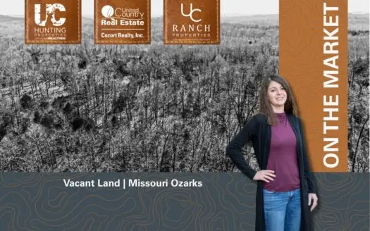 Vacant Acreage for sale in the Missouri Ozarks | Gainesville