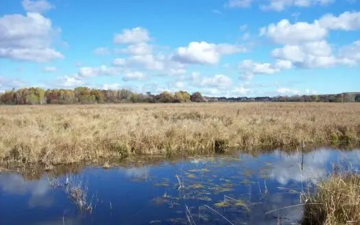 Trophy Whitetail Deer Hunting Columbia County Wisconsin