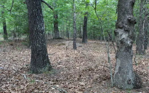 Lot 46 In Lakeshore Acres Subdivision on Bull Shoals Lake