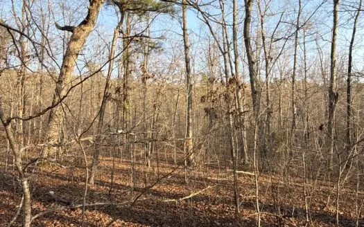 40± Acres with 4 Ponds & Hunting Cabin