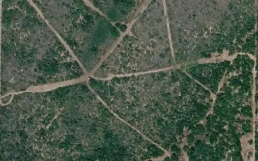 50 acers of South Texas Brush Electricity water well