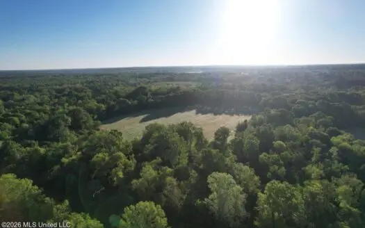 277± Acres Hinds/Copiah Line with Creek & Income
