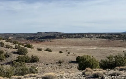 Eastern Arizona Off-grid Land for Sale Near St. Johns