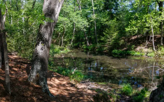 31.738 Acres for Sale on FM 344 Near Bullard Smith County TX