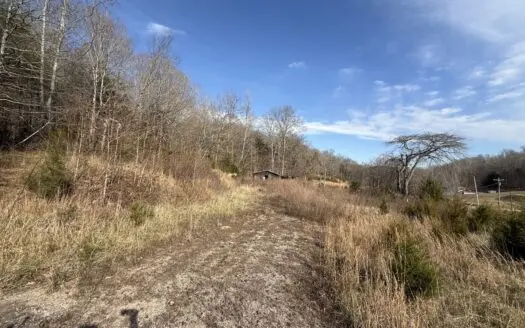 8.87± Acres Near TN River with Pad, Well & Septic
