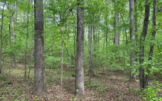 The Landing At Kerr Lake Buildable Wooded Lots VA