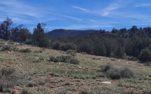 Unique 95.85 acre off grid parcel in Northern AZ
