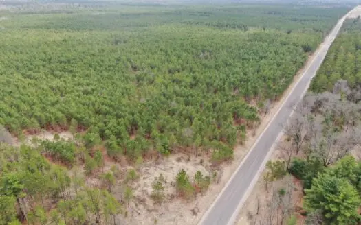 80± acre timber tract in the heart of northern Adams County