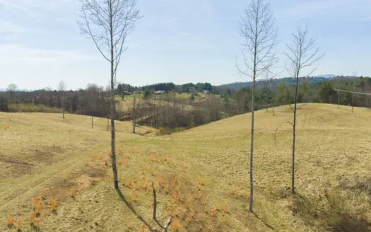 Acreage for Sale in Grayson County
