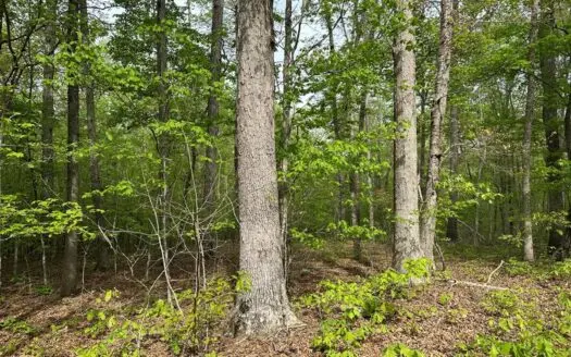 Buggs Island Retreat with Lake Access & Privacy