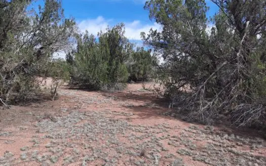 Beautifully treed Northern AZ off grid property