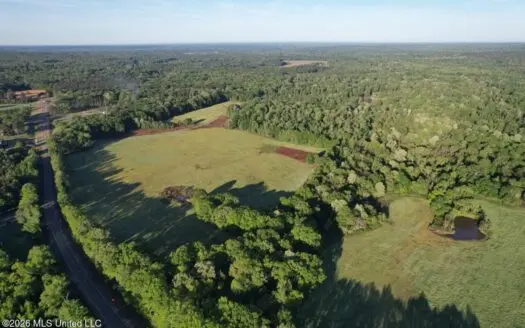 277± Acres Hinds/Copiah Line with Creek & Income