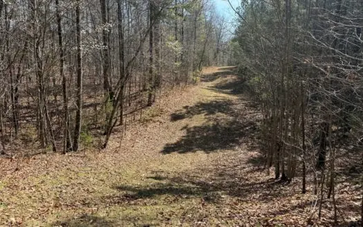 22 Acres with Creek Frontage & Pines in Buckingham, VA