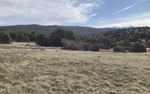 Great 2.5 Acre Property Near Chama New Mexico