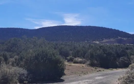 AMAZING 185.59 off grid Northern AZ land