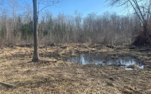 Affordable 4+ Acre Recreational Parcel in Finlayson, MN