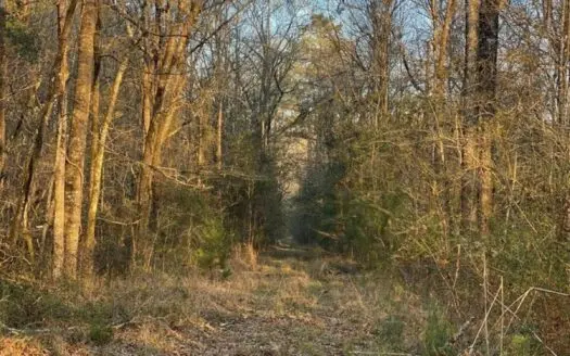 Hunting and Recreational Land for Sale in Amite County, Miss