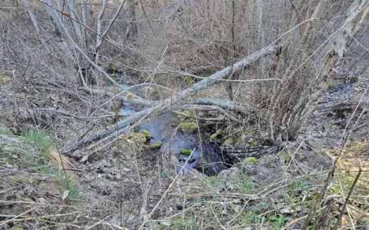 Buildable, Private Recreational 20 Acres with more available!