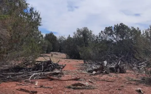 Beautifully treed Northern AZ off grid property