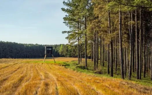 455 Acres Hunting & Income Land in Choctaw County MS