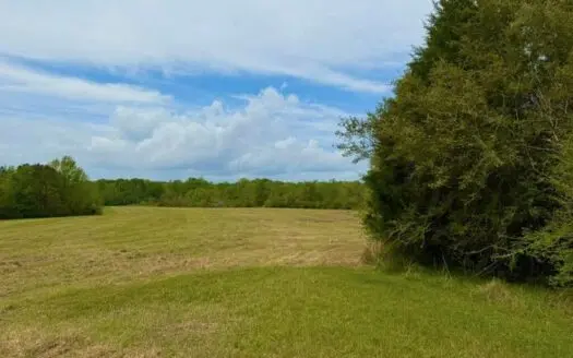 17+- of Pastureland West Lincoln School Smithdale MS