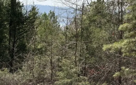 Three Acre Lot overlooking Lake Norfork