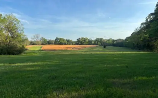 77 Acres in Edwards, MS Hinds County Big Black River Region