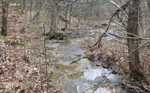 5 Acres of Prime Ozark Hunting Land with Wet Weather Creek