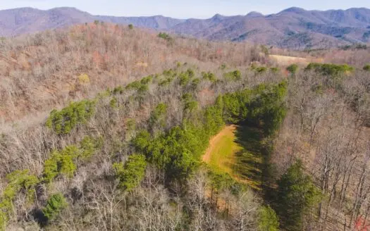 Acreage for Sale Adjoining Primland Resort