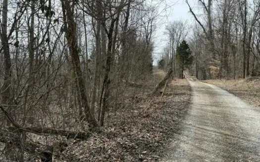 Unrestricted Lot in Albany, Kentucky