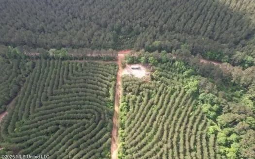 46 Acres in St. Helena Parish, LA Hunting Property for Sale